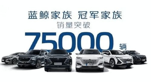 外有哈弗h6 博越内有cs75,长安cs55 plus还有立足点吗