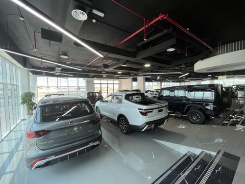 中国新能源车 中国新能源车企,加速杀入中东