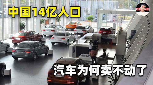 中国14亿人口买不动汽车,销量罕见下跌,这个锅该不该燃油车背